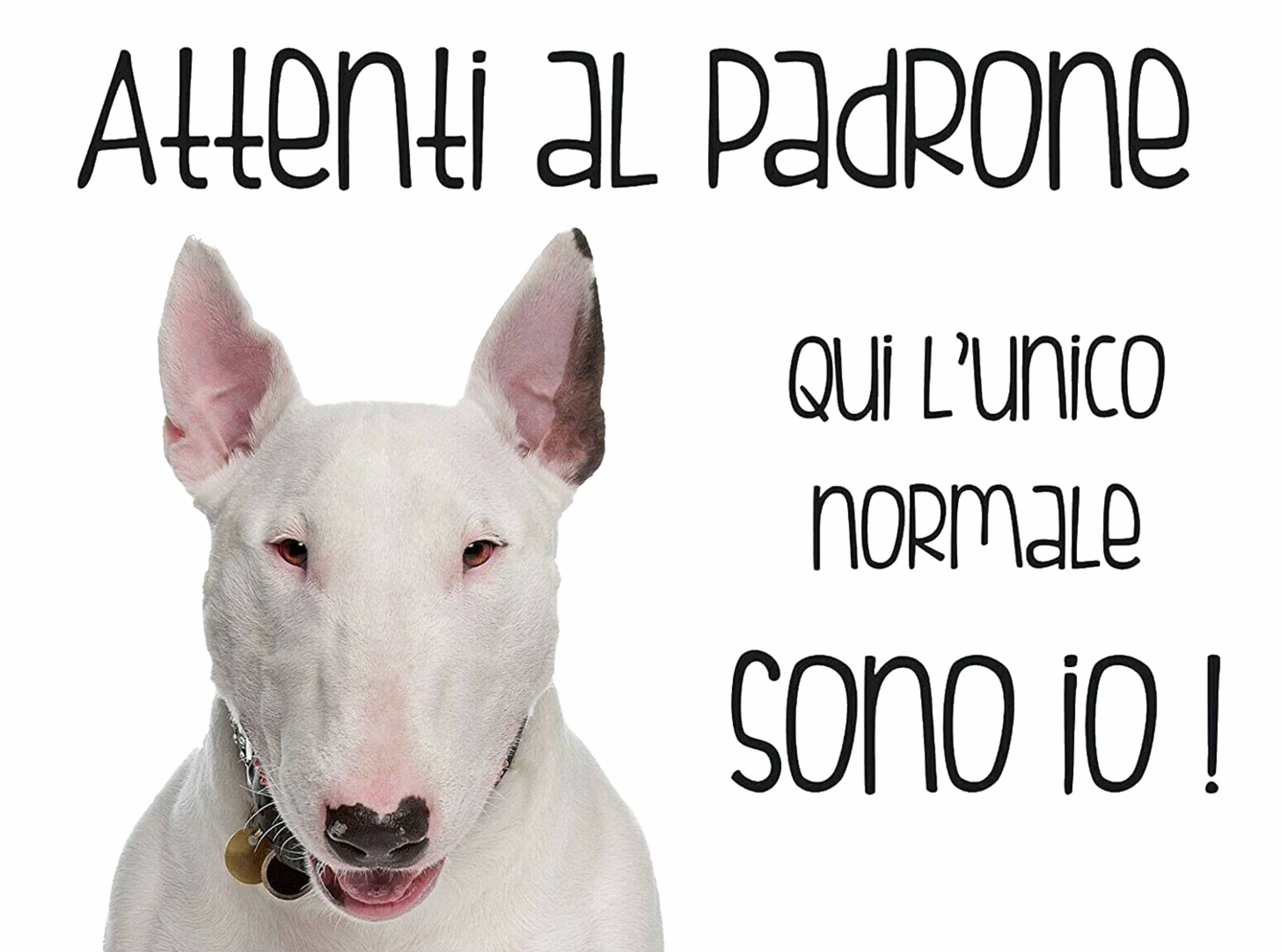 ATTENTI ALLE COCCOLE - BULL TERRIER - CARTELLO ATTENTI AL CANE in