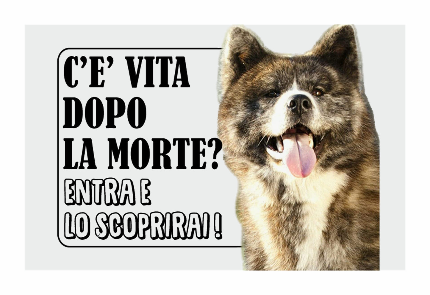 AKITA INU TIGRATO - C'è vita dopo la morte, entra e lo scoprirai - CARTELLO ATTENTI AL CANE in Adesivo Resistente, Pannello in Forex, Pannello In Alluminio o in Plexiglas