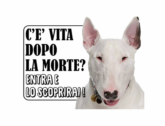 BULL TERRIER c'è vita dopo la morte, entra e lo scoprirai - CARTELLO ATTENTI AL CANE in Adesivo Resistente, Pannello in Forex, Pannello In Alluminio o in Plexiglas