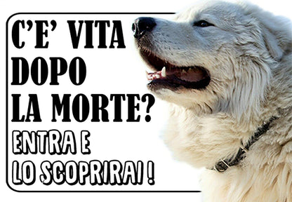 MAREMMANO c'è vita dopo la morte, entra e lo scoprirai -  CARTELLO ATTENTI AL CANE in Adesivo Resistente, Pannello in Forex, Pannello In Alluminio o in Plexiglas