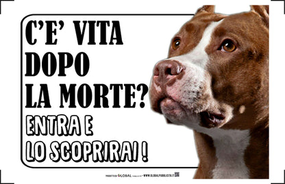 PITBULL - C'è vita dopo la morte, entra e lo scoprirai - CARTELLO ATTENTI AL CANE in Adesivo Resistente, Pannello in Forex, Pannello In Alluminio o in Plexiglas