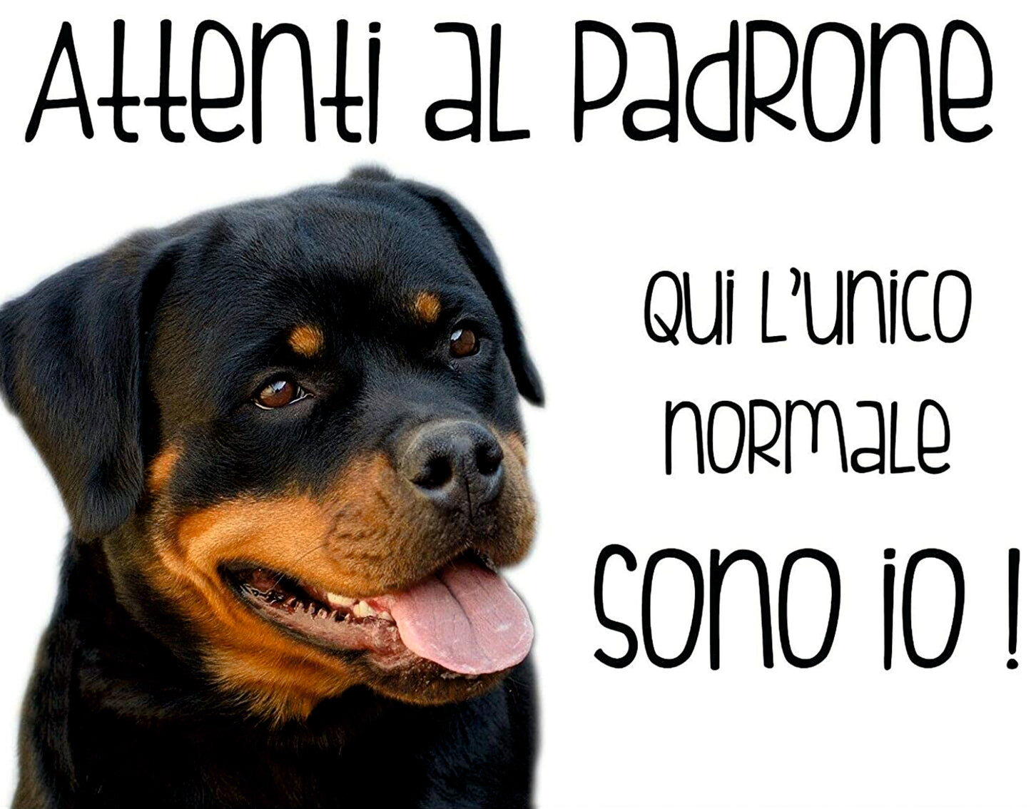 Rottweiler - Attenti al padrone qui l'unico normale sono io - CARTELLO ATTENTI AL CANE in Adesivo Resistente, Pannello in Forex, Pannello In Alluminio o in Plexiglas