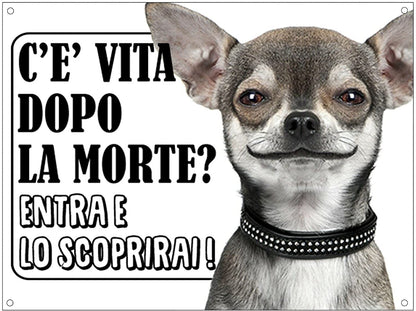 CHIHUAHUA - c'è vita dopo la morte, entra e lo scoprirai - CARTELLO ATTENTI AL CANE in Adesivo Resistente, Pannello in Forex, Pannello In Alluminio o in Plexiglas