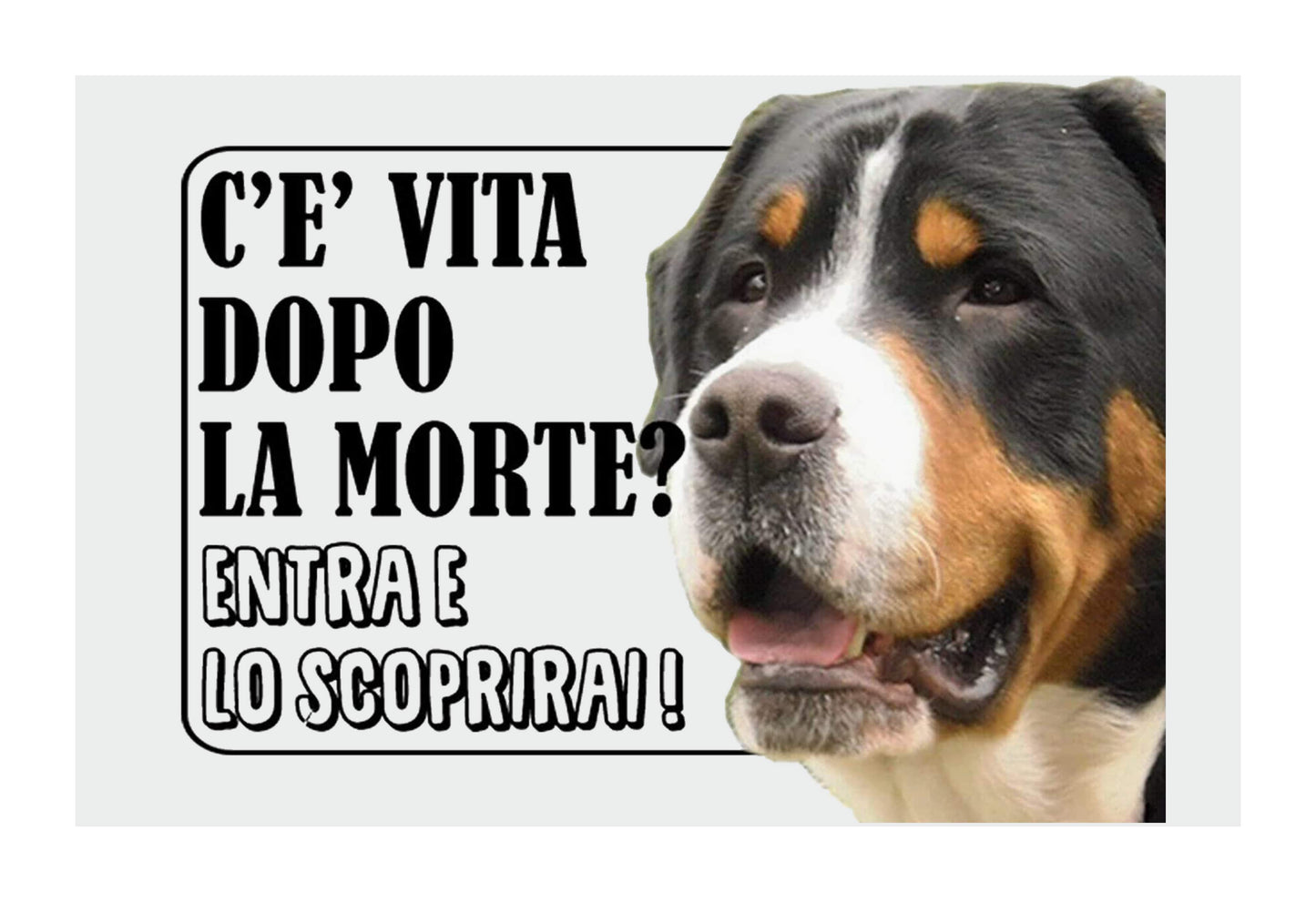 GRAND BOVARO SVIZZERO - c'è vita dopo la morte, entra e lo scoprirai - CARTELLO ATTENTI AL CANE in Adesivo Resistente, Pannello in Forex, Pannello In Alluminio o in Plexiglas