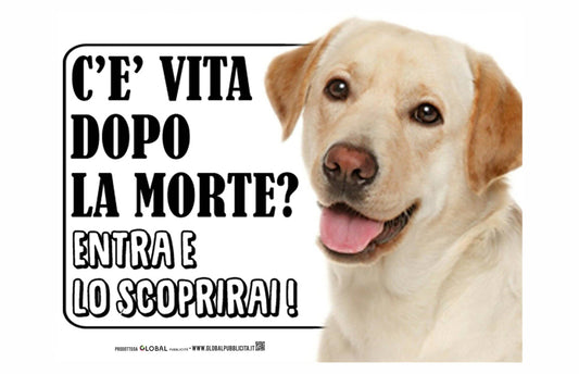 LABRADOR MIELE - c'è vita dopo la morte, entra e lo scoprirai - CARTELLO ATTENTI AL CANE in Adesivo Resistente, Pannello in Forex, Pannello In Alluminio o in Plexiglas