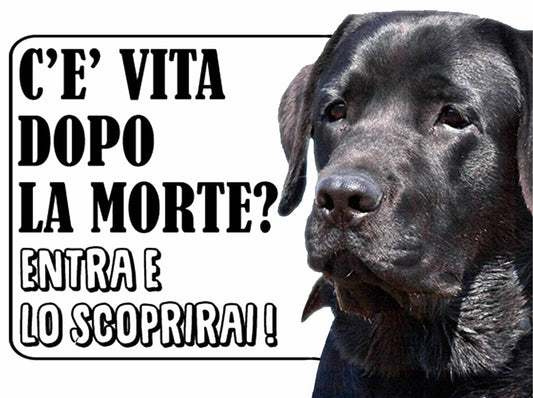 LABRADOR NERO - c'è vita dopo la morte, entra e lo scoprirai - CARTELLO ATTENTI AL CANE in Adesivo Resistente, Pannello in Forex, Pannello In Alluminio o in Plexiglas