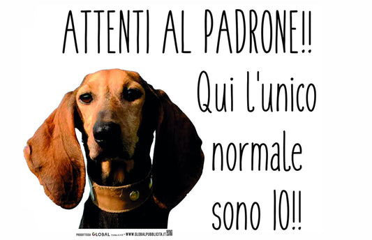 SEGUGIO ITALIANO A PELO RASO - Attenti al padrone qui l'unico normale sono io - CARTELLO ATTENTI AL CANE in Adesivo Resistente, Pannello in Forex, Pannello In Alluminio o in Plexiglas