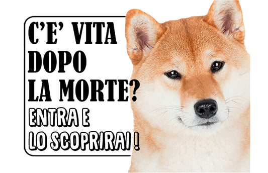 SHIBA INU - c'è vita dopo la morte, entra e lo scoprirai - CARTELLO ATTENTI AL CANE in Adesivo Resistente, Pannello in Forex, Pannello In Alluminio o in Plexiglas