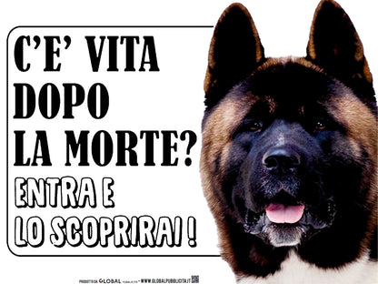 Akita americano modello 2 - C'è vita dopo la morte, entra e lo scoprirai - CARTELLO ATTENTI AL CANE in Adesivo Resistente, Pannello in Forex, Pannello In Alluminio o in Plexiglas