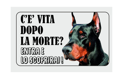 Dobermann - C'è vita dopo la morte, entra e lo scoprirai - CARTELLO ATTENTI AL CANE in Adesivo Resistente, Pannello in Forex, Pannello In Alluminio o in Plexiglas