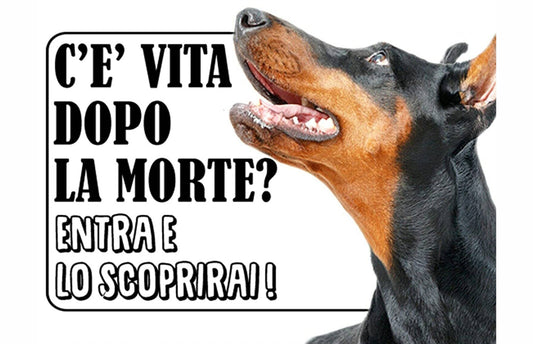 Doberman - c'è vita dopo la morte, entra e lo scoprirai - CARTELLO ATTENTI AL CANE in Adesivo Resistente, Pannello in Forex, Pannello In Alluminio o in Plexiglas